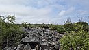 20250714_120023.jpg