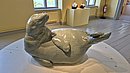20250716_120021.jpg