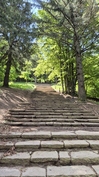 20250529_104603.jpg