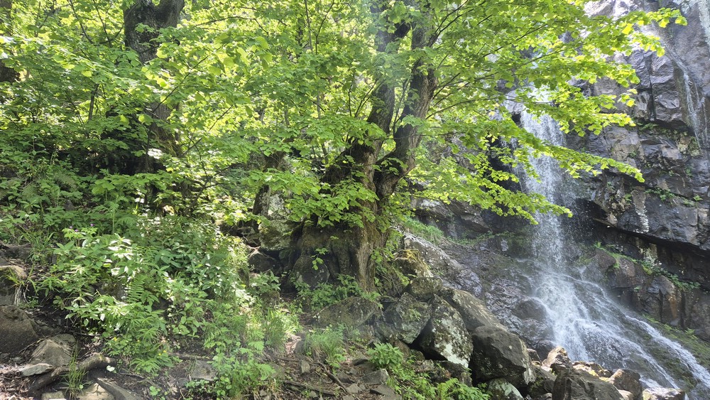 20250602_142822.jpg
