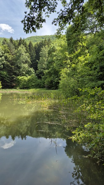 20250602_152959.jpg