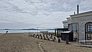 20250525_113510.jpg