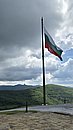 20250529_110130.jpg