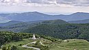 20250529_110203.jpg