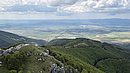 20250529_111124.jpg