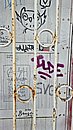 20250529_121818.jpg