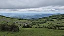 20250529_122346.jpg