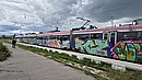 20250530_151703.jpg