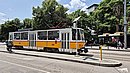 20250601_125603.jpg