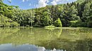 20250602_152954.jpg