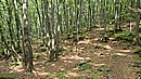 20250602_153811.jpg