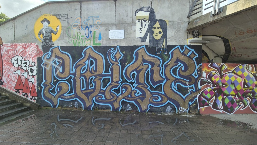 20250708_142157.jpg