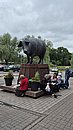 20250708_132952.jpg