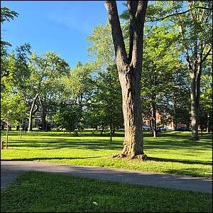 20260708_184119.jpg